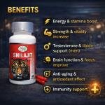 Shilajit Capsules – Natural Energy & Vitality Support (60 Capsules)